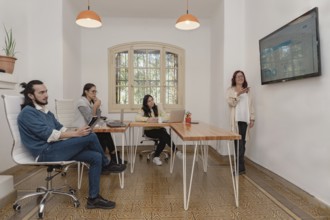 A professional redhead woman makes a statistical presentation to her diverse team using a large