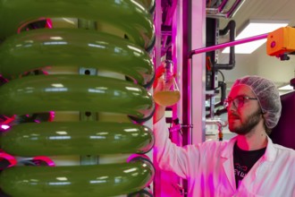 PUEVIT GmbH produces the most efficient photobioreactors for the cultivation of microalgae. The aim