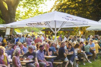 31st Elbhangfest, Wine Village Loschwitz, 31st Elbhangfest, Dresden, Saxony, Germany, Europe