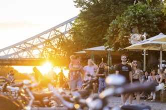 Summer evening at the Elbe garden in Dresden Loschwitz, Summer in Loschwitz, Dresden, Saxony,