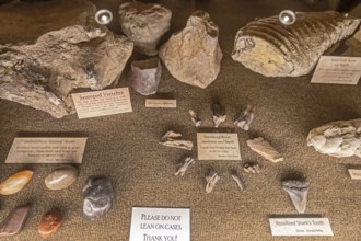 Craig, Colorado - The Museum of Northwest Colorado preserves artifacts of the old west. The museum