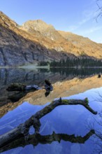 A tranquil lake reflects the surrounding mountains and forests, Felbertal, Mittersill, Salzburg,