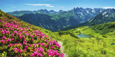 Alpine rose blossom, panorama from the Fellhorn over the Schlappoldsee and mountain station of the