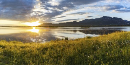 Sunrise at Forggensee, Ostallgäu, Allgäu, Swabia, Bavaria, Germany, Europe