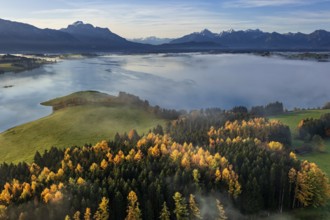 Aerial view of a lake in front of mountains in the morning light, fog, autumn, Forggensee, view of