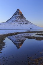 Pointed mountain reflected in fjord at low tide, snow, winter, morning light, Kirkjufell,