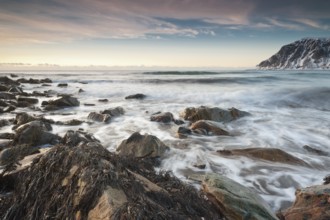 Long exposure, winter evening mood at Skagsanden, stones on the beach at Flakstad, Flakstadøy,