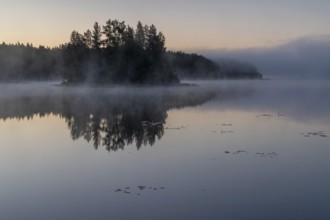 Lake near Hartola, forest in the fog, Finland, Europe