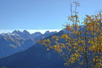 Autumn in the Allgäu, mountain panorama from Fellhorn 2037m, to Öfnerspitze, 2576m, Großer