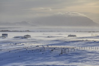 Houses in a snowstorm in front of mountains, windy, sunny, backlight, Myvatn, Iceland, Europe