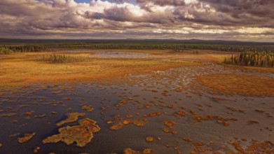 Moor, autumn, intense colouring, impressive cloud formation, drone shot, with horizon, Lapland,