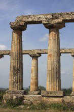 Metaponto, Metaponte, Doric hera temple, Tavole Palatine, Basilicata, Italy, Europe