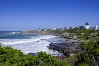 Coast near Hermanus, Cliff Path Hiking Trail, Garden Route, Western Cape, South Africa, Africa