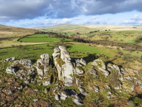 Vixen Tor, Dartmoor National Park, Yelverton, Devon, England, United Kingdom, Europe