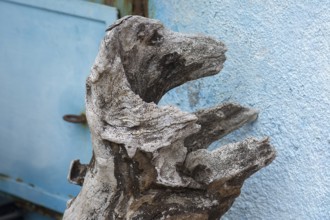 Similar to a dog figure moulded by nature from a tree root, Burano, Veneto, Italy, Europe