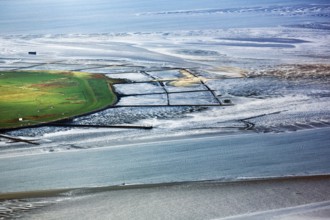 Breakwater, Lahnungsfelder, shore protection, coastline of the island of Pellworm, aerial