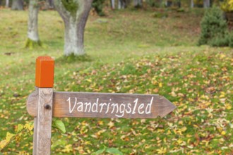 Wooden sign for a hiking trail in Sweden in a deciduous forest with fallen autumn leaves, Sweden,