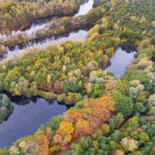 Mixed forest in autumn, colouring, aerial view, forest, autumnal, Ahlhorn fish ponds,