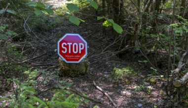 Traffic signs in the landscape at Tauglgries, Bad Vingau, Austria, Europe