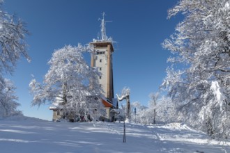 Rossberg Tower on the Rossberg, Swabian Alb, Baden-Württemberg, Germany, Swabian Alb, Rossberg,