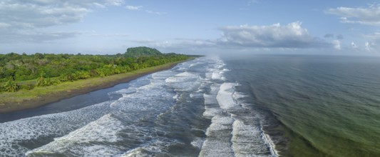 Aerial view, beach and sea, coast with rainforest, Tortuguero National Park, Costa Rica, Central