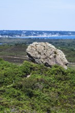 Agglestone Rock, Devil's Anvil, Studland, Dorset, England, United Kingdom, Europe