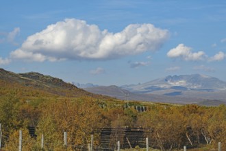 Autumn landscape with trees and mountains in the background under a blue sky with clouds, autumn,