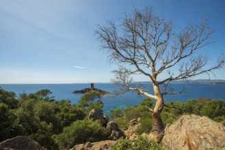 Coast and red rocks, Île dOr, Massif de l'Esterel, Esterel Mountains, Département Var, Région