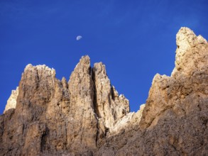 Half moon over the King Laurin wall, rose garden, Dolomites, South Tyrol, Italy, Europe