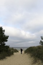 View of the Baltic Sea beach, September, Mecklenburg-Western Pomerania, Germany, Europe