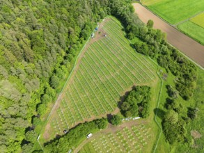 Aerial view of a solar park under construction, surrounded by dense forest and agricultural land in