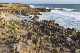 Eroded rocks on the beach of Salines, Ibiza, Balearic Islands, Mediterranean Sea, Spain, Europe