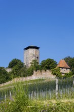 Hohenbeilstein Castle, hilltop castle, Beilstein, Heilbronn district, Baden-Württemberg, Germany,