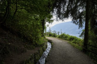 Hiking trail, Schenner Waalweg, Neuwaal, stream, long exposure, Schenna, Scena, South Tyrol,