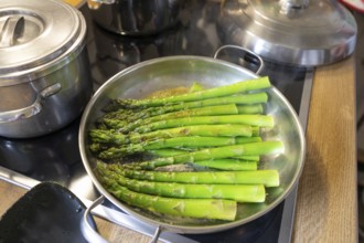 Preparation of green asparagus (Asparagus officinalis) in the pan, Bavaria, Germany, Europe