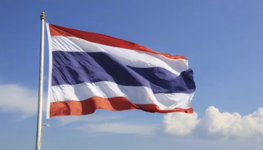 Flags, the national flag of Thailand flutters in the wind