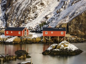 Traditional red rorbu houses on stilts in the authentic fishing village of Nusfjord, Flakstadøya,