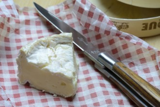 French Camembert, sliced cheese, France, Europe