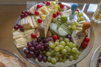 Cheese platter with different types of cheese and grapes, Bavaria, Germany, Europe