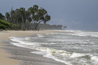 Beach, Petit Loango, Loango National Park, Parc National de Loango, Ogooué-Maritime Province,