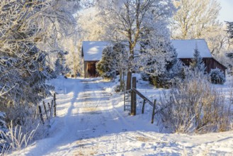 Barn by a forest road with a gate a cold snowy winter landscape, Sweden, Europe