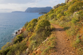 Nature trail along a rocky coast with lush vegetation and views of the open sea, Agia Kyriaki,