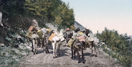 Pack train on a mountain road, Colorado, United States of America, USA, digitally restored