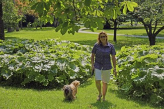 Woman takes Lhasa Apso for a walk in the park