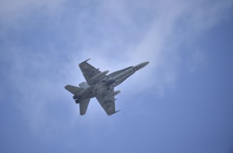 Mc Donnell Douglas CF-18 Hornet fighter aircraft during an Air Defender exercise over