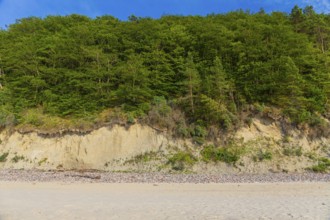 Cliffs of the Wolin National Park. Beach at sunset, close to Miedzyzdroje (Misdroy), a village in