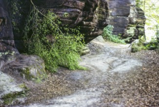 High Rocks, Mesolithic rock shelter, Tunbridge Wells, East Sussex, England, UK 1983