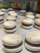 Freshly baked macarons with chocolate gingerbread ganache, Vienna, Austria, Europe