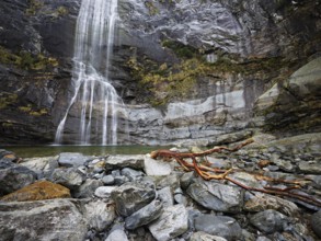 Cascata Grande waterfall, Bignasco, Maggia Valley, Canton Ticino, Switzerland, Europe