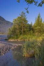 Isar valley nature conservancy area. The wild Isar river flows through its gravel bed past